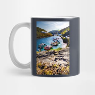 Boscastle Harbour And Village, Cornwall, UK Mug